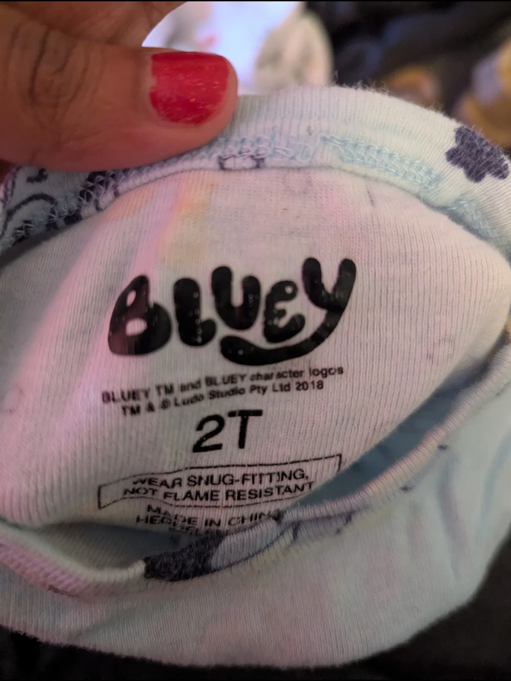 2t Bluey Pajama Set